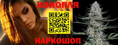 МДПВ Обь