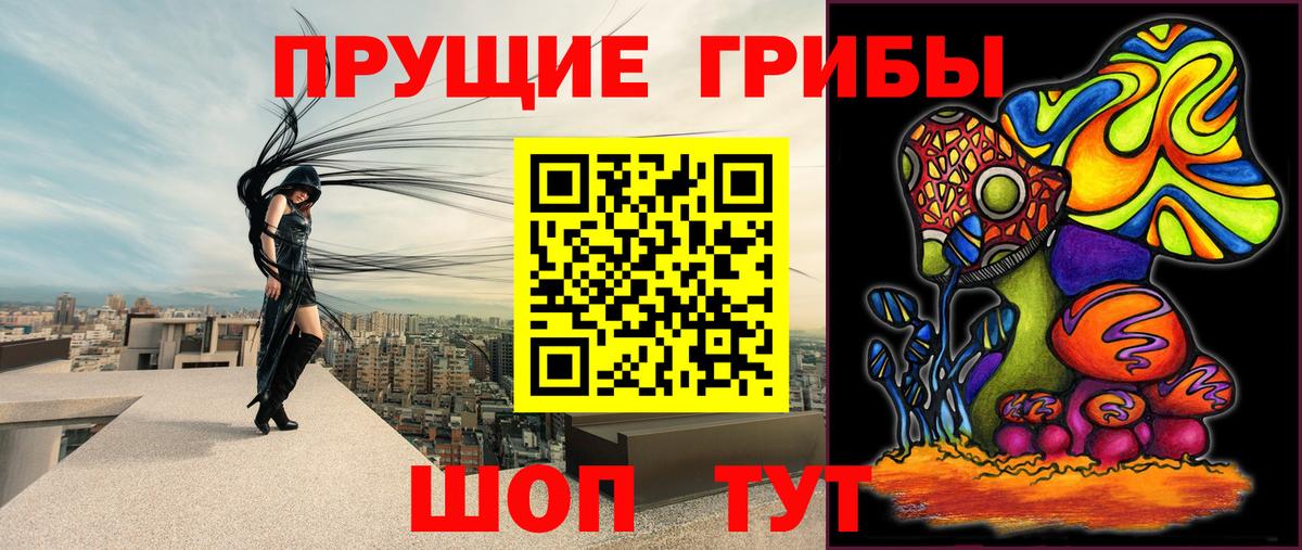 Псилоцибиновые грибы MAGIC MUSHROOMS Тихорецк