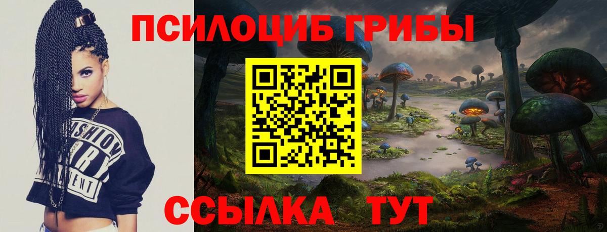 Тихорецк  Псилоцибиновые грибы прущие грибы  Вход с VPN 